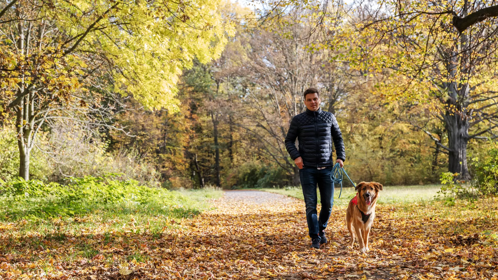 Mann spaziert mit Hund durch den Wald